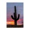 Stupell Industries Arizona Cactus at Sunset Wall Plaque, design by Jeff Poe Photography